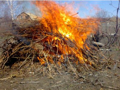 На Кіровоградщині і в Олександрії на спалювання листя можна поскаржитись он-лайн