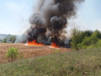 На Кіровоградщині найближчими днями очікують надзвичайну пожежну небезпеку