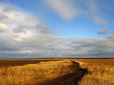 Погода в Олександрії у вихідні і понеділок 4 листопада