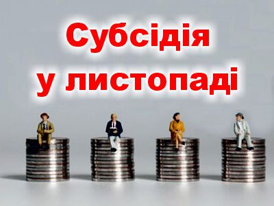 На Кіровоградщині у січні-листопаді надано субсидій населенню 65,2 мільйона гривень