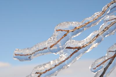 Погода в Олександрії у вихідні і понеділок 23 грудня (пазл)