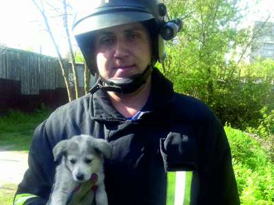 В Олександрії рятувальники витягли цуценя яке потрапило в яму біля котельної (фото)